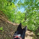 보리네민박 이미지