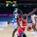 아이리스 이미지