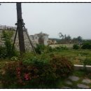 보불로펜션 이미지