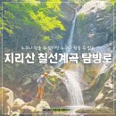 지리산 백무동파크야영장 | 지리산 칠선계곡 코스 예약 방법 및 연하선경을 지나 백무동 코스