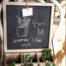 마들렌이야기