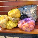 행복한 은혜농장 이미지