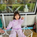 나리 야영장 옆 | 2025 추석연휴 울릉도, 독도 여행 3 나리분지,해중전망대