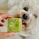 아루실업 이미지