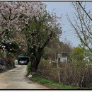 갈마 마을회관 이미지