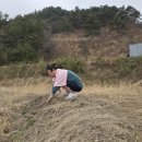 자연드림휴센터 이미지