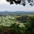 하루산책 이미지