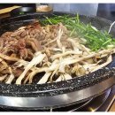 싱싱오리 이미지
