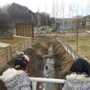 숲속에동물농장 네이버블로그