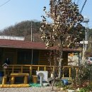 고바우보리밥