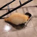 테이블에이 이미지