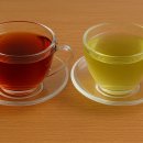 루이보스차 효능 부작용, 녹차와의 차이 이미지