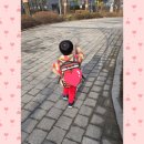 해맑은어린이집(승합차1) | [육아일기] 32개월 아이 어린이집 적응기 1~4일 차 (엄마 동반 3일 + 첫 1시간 분리)