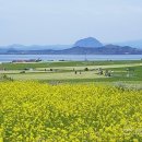 서호초등학교 병설유치원 이미지