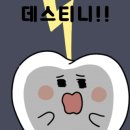 바른손치과 이미지