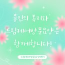 더드림케어 이미지