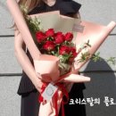 플로르델디아;오늘의꽃