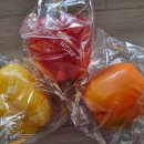 탐진축산 이미지