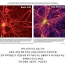 청주전자담배샵 네이버블로그