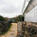 더예쁜소길초가 | [제주 애월 카페] 제주감성 가득한 '소길다방', 커피와 고양이 그리고 인생카이막