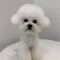 GROOFLUFFY 이미지