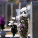 일심행정사사무소 이미지