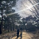 선사유적지공용주차장 | 서울 암사동 선사유적지 박물관가족 나들이 서울 역사공원 산책 추천