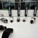 센텀체육관 이미지