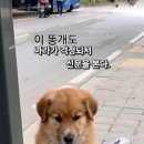 야도 나라가 걱정입니다 이미지