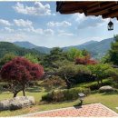 대박공인중개사사무소 이미지