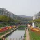 안산천 이미지