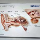 강남보청기 이미지