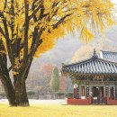 석주권필 유허비 이미지