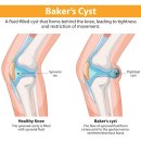 365봄한의원 이미지