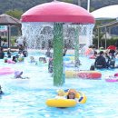 칠보물테마 유원지 이미지