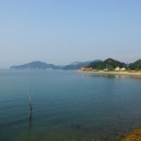 제이드리조텔 이미지