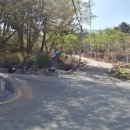 황령산 벚꽃약수터 이미지