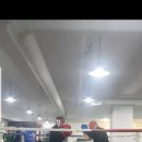 SH 다이어트 복싱 이미지