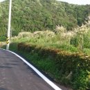 형재농장 이미지