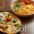 알리고(ALIGOT)