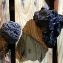 제주 자락 이미지