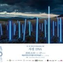 대한민국국제포토페스티벌 티스토리