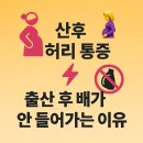 산후 과정 허리통증 🤰 출산 후 배가 안 들어가는 이유!! 이미지