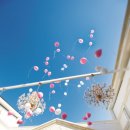 라루체(LaLuce) 이미지