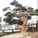 고품 - 기장군 정관8로 27 | 고품
