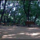 우면산6-6 이미지