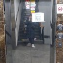 대원로-1 이미지