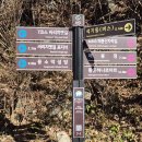 치악산둘레길 7코스 싸리지옛길 | 치악산 둘레길 7코스(싸리치 옛길)