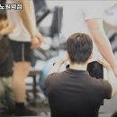 데이포