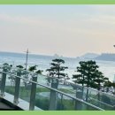 엘시티리턴의원 이미지